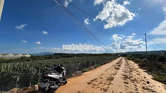 Bán đất nền Tân Hội Đức Trọng 170m2 full thổ cư giá rẻ