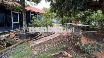 Nhà vườn 2 mặt tiền tâm huyết.