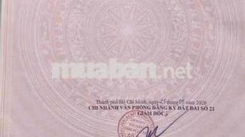 Đất gần chợ Đông Thạnh xe hơi thông