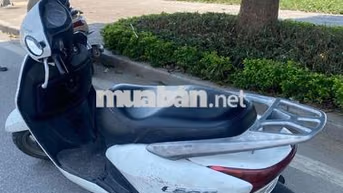 Honda Lead Trắng