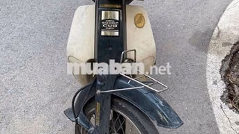 Honda Cup 82 50cc 2022 Xanh Trắng