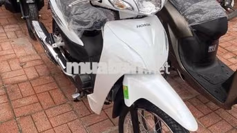 Honda Wave Alpha 110 Trắng