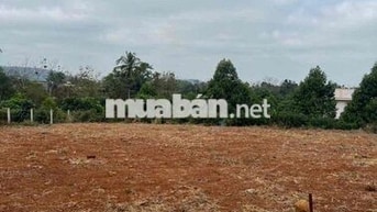 đất chính chủ ekao sau uỷ ban cách đường hcm 200m