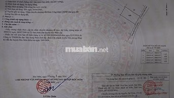 🔥 BÁN GẤP ĐẤT HẺM TRƯƠNG THỊ NHƯ – XUÂN THỚI SƠN, HÓC MÔN 🔥