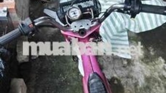 Xe máy Chaly Hồng hoạt động bình thường