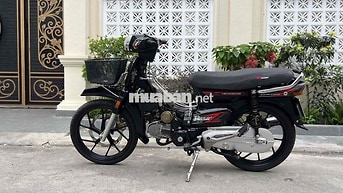 Honda Citi Đen Xe số