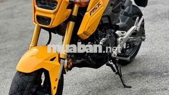 🍀Honda MSX 2020 BSTP CHÍNH CHỦ Odo 18k