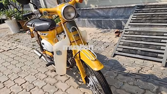 Honda Cub Little 50cc có đề💖bs82💝