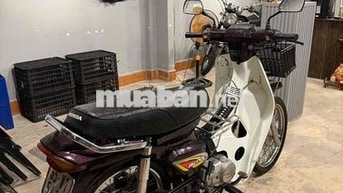 Honda Dream Boss Trắng Tím Xe số