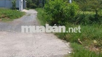 ĐẤT XE HƠI 158,9M2 FULL THỔ CƯ NGANG GẦN 10M XÂY DỰNG TỰ DO
