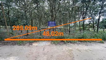 Công ty Đấu giá hợp danh Lam Sơn Sài Gòn THÔNG BÁO ĐẤU GIÁ TÀI SẢN