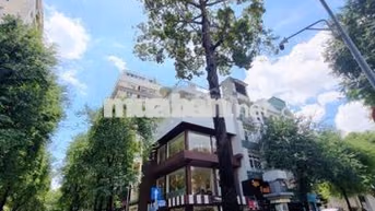 Siêu đẹp (Góc 2mt) 29 Lê Thánh Tôn, Q1. Dt: 6x15m, Kc: trệt 3 lầu