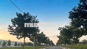cần  bán gấp lô đất về  cali ở với con