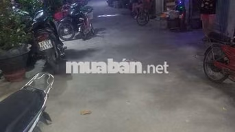 cho thuê nhà nguyên căn chính chủ 