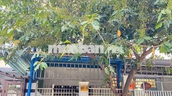 🛑 CHO THUÊ NHÀ ĐƯỜNG: TRẦN KHÁNH DƯ - 3 phòng - 2wc - 10tr 