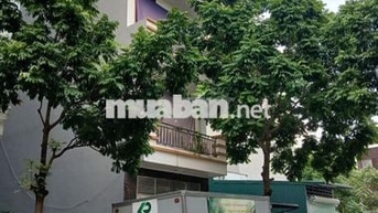 Cho thuê nhà khu Đấu giá ngõ cổng Đa Sỹ 50m2 5 tầng giá 13 triệu/tháng