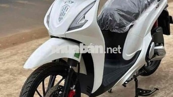 Xe tay ga Velia 50cc Trắng