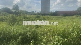 chính chủ bán đất nền full thổ cư