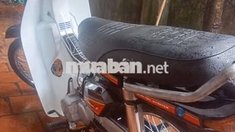 Honda Dream 2024 Trắng đen