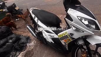 Yamaha Nouvo Trắng Tự động