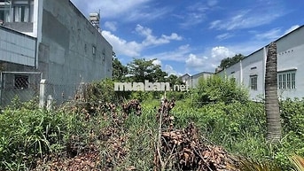 CHỦ CẦN TIỀN CHỮA BỆNH BÁN GẤP CHỢ VIỆT KIỀU – 650TR – 267,5M² – SHR