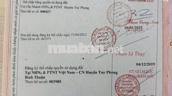 Vị trí vàng cho các nhà đầu tư : mặt tiền đắc địa