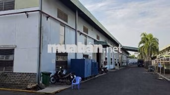 CHO THUÊ NHÀ XƯỞNG 2.000M², HÒA CẦM, GIÁ CHỈ 60K/M²,  SẴN PCCC!