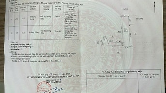 Đất Đan Phượng trục Liên Minh mà giá có 38tr/m - Chính chủ sang tên