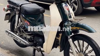 🌈Cup 50cc xe đẹp máy rin siêu êm 👉CÓ TRẢ GÓP