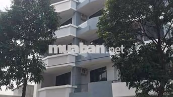 Cho thuê toà nhà gần trung tâm thành phố mới