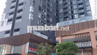 Giỏ hàng cho thuê D-Aqua Q8, giá 10-23tr, nhà mới xách vali vào ở ngay