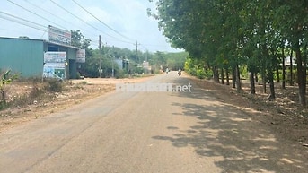 BÁN GẤP ĐẤT TẠI BÌNH PHƯỚC GIÁ RẺ