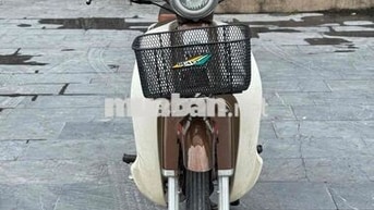 Honda Cub 2023 Nâu Trắng