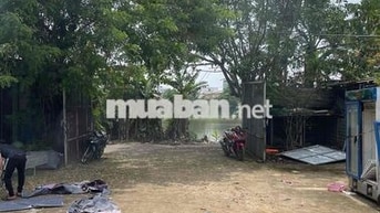 Bán đất đường oto khu vực trung tâm