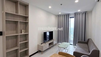 Cho thuê chung cư C SKY-VIEW Thủ Dầu Một, 2PN, Full nội thất 