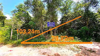 Công ty Đấu giá hợp danh Lam Sơn Sài Gòn thông báo đấu giá tài sản