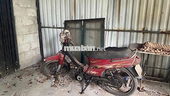 Kawasaki MaxR Đỏ Thể thao