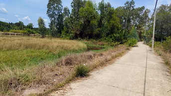 GIÁ MỚI 3,9 TỶ – 1.100M² MẶT TIỀN ĐƯỜNG CÁ SÚC, BÌNH KHÁNH – CẦN GIỜ