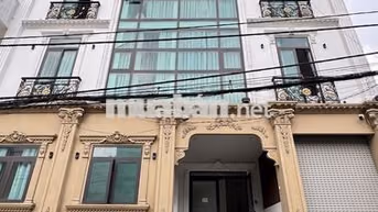 Căn hộ dịch vụ cao cấp Lê Đình Cẩn, Tân Tạo, Bình Tân, TP.HCM