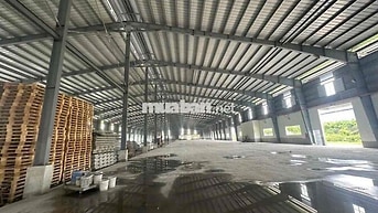 🔴 CHO THUÊ KHO XƯỞNG NGOÀI KCN BẾN LỨC GIÁP ĐỨC HÒA MỚI 100% CÓ CẮT LẺ