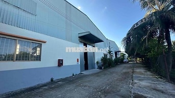 🔴 CHO THUÊ KHO XƯỞNG LONG AN HÌNH ẢNH THẬT GIÁ RẺ