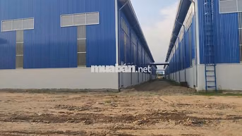 Cho thuê kho Quốc lộ 50 Cần Giuộc 5.000m² – 11.000m² – PCCC tự động 