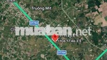Gần 1ha đất gồm nhà xưởng nhà cấp 4 và 300 cây dừa
