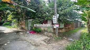 Gần 2 Công Đất Lúa Gần Lộ 40M Nguyễn Văn Linh