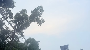 CÓ 102 LONG PHƯỚC HXH DT:229M2 SHR