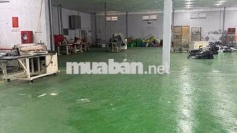 🔴 CHO THUÊ KHO XƯỞNG ĐỨC HÒA GẦN KHU CÔNG NGHIỆP HẠNH PHÚC