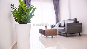Cho thuê căn hộ chung cư Phú Thọ, Q11,  65m2, 2PN, 10tr
