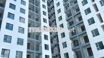 Căn góc 2PN A15 tầng cao, Prosper Phố Đông