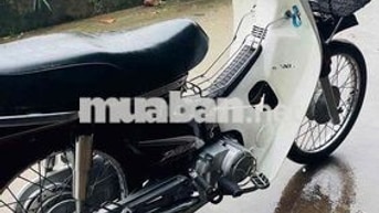 Honda Dream Trắng, Đỏ mận Xe số