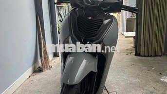 Honda SHVN 2019 Xám 60.000km
